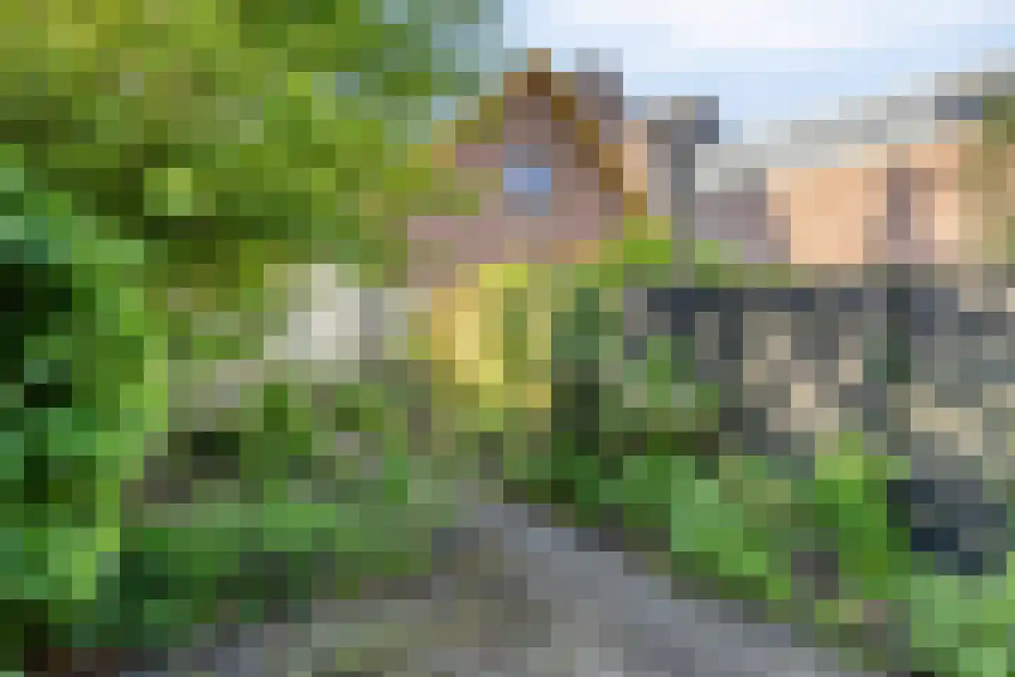 Laarstraat 109 Zutphen thumbnail 35
