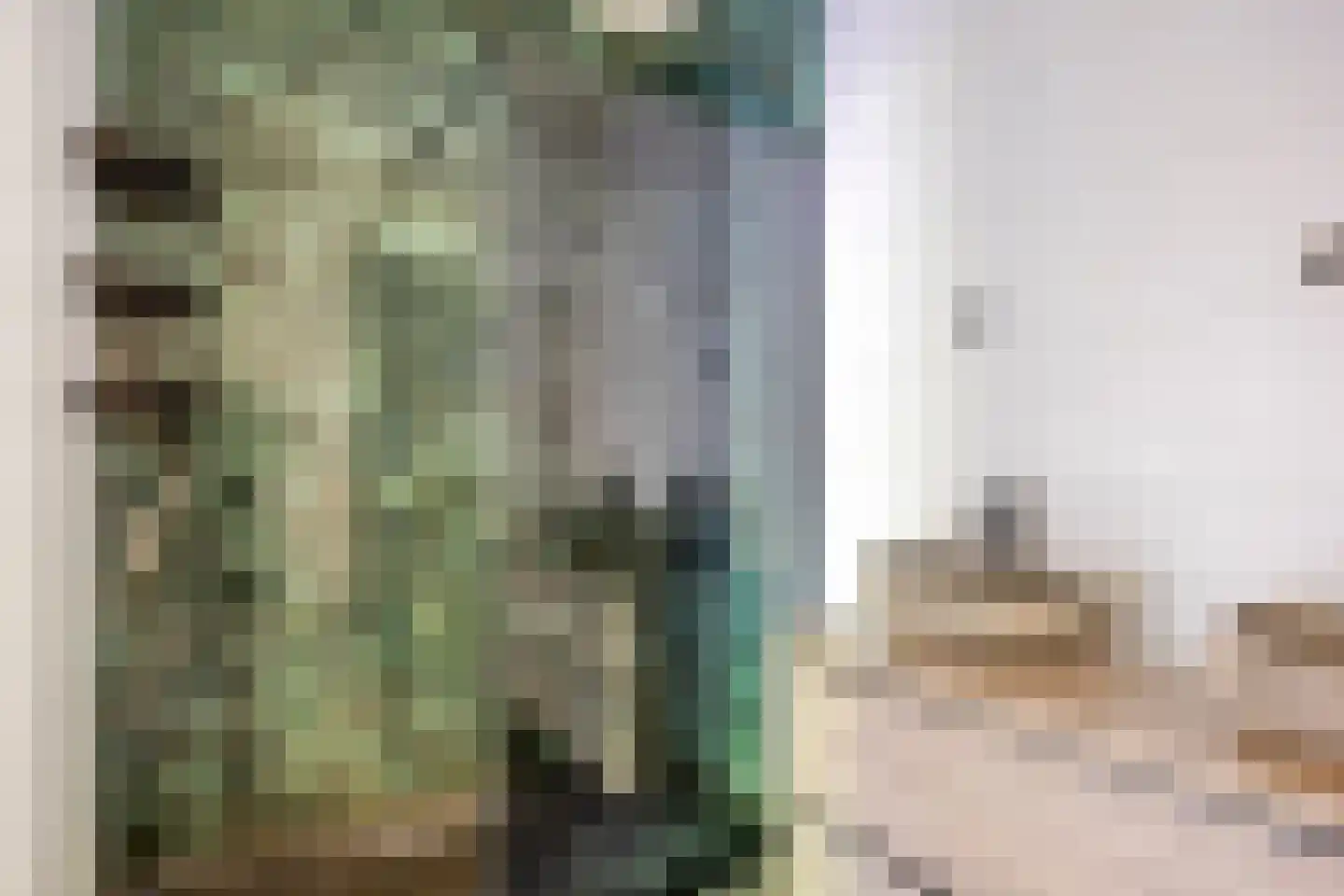 Laarstraat 109 Zutphen thumbnail 5