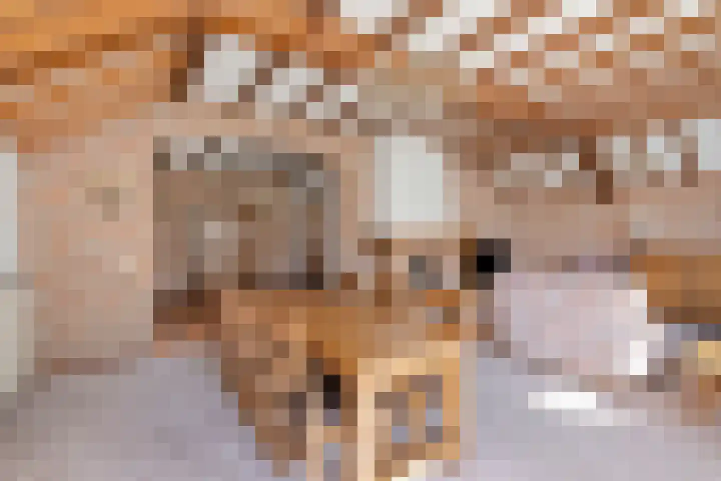 Laarstraat 11 Someren thumbnail 10