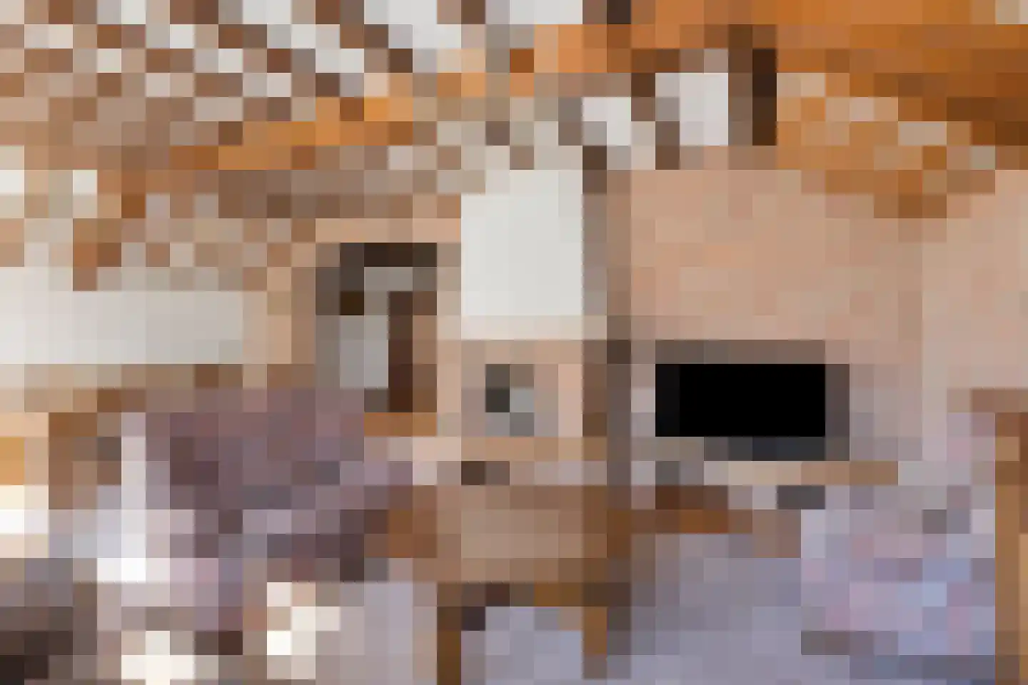 Laarstraat 11 Someren thumbnail 11