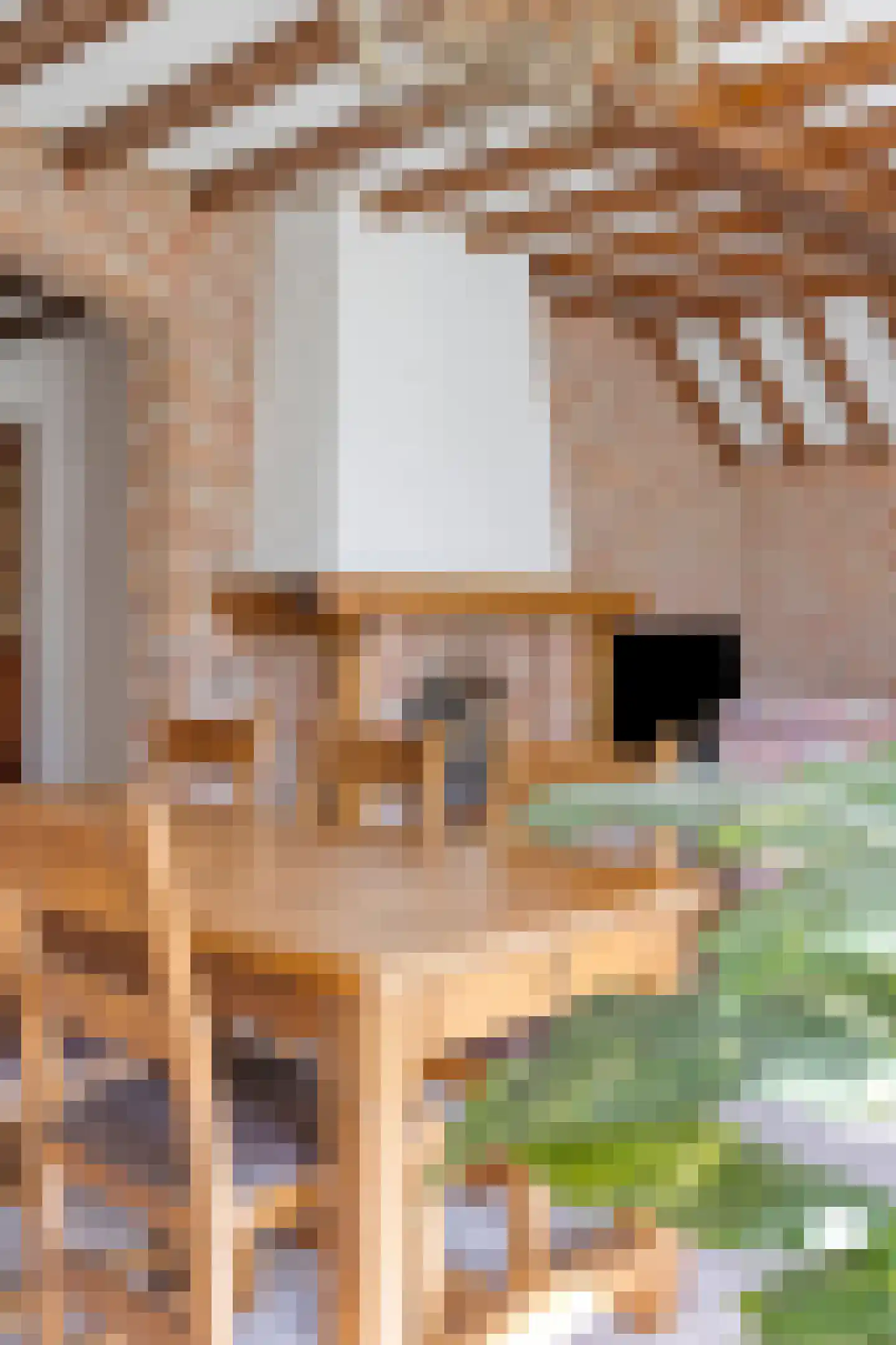 Laarstraat 11 Someren thumbnail 12