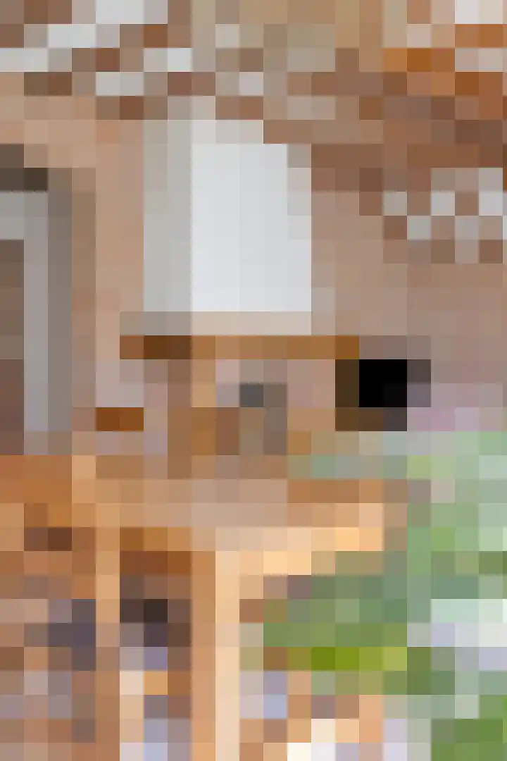 Laarstraat 11 Someren thumbnail 12