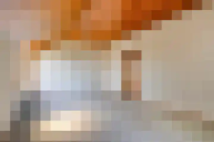 Laarstraat 11 Someren thumbnail 16