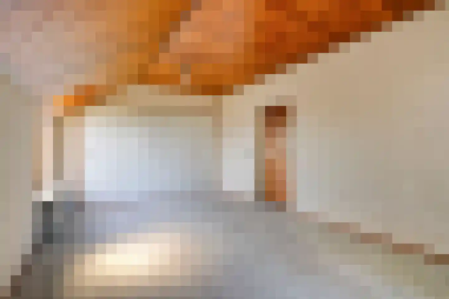 Laarstraat 11 Someren thumbnail 16