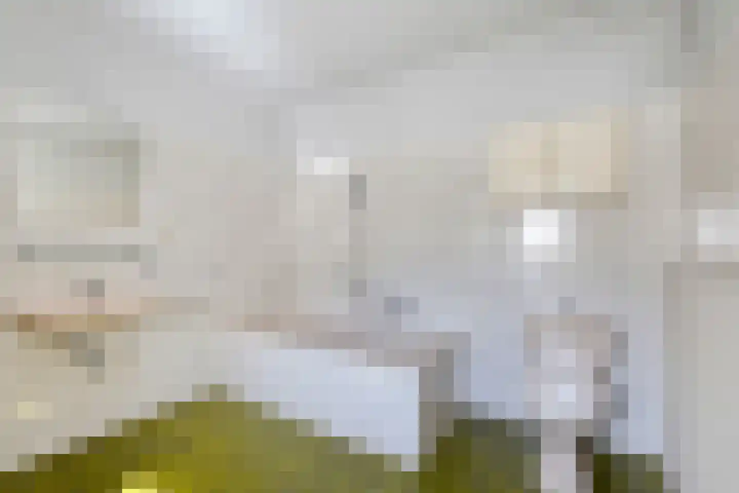 Laarstraat 11 Someren thumbnail 18
