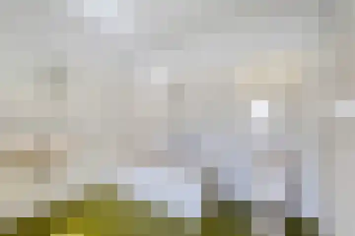 Laarstraat 11 Someren thumbnail 18