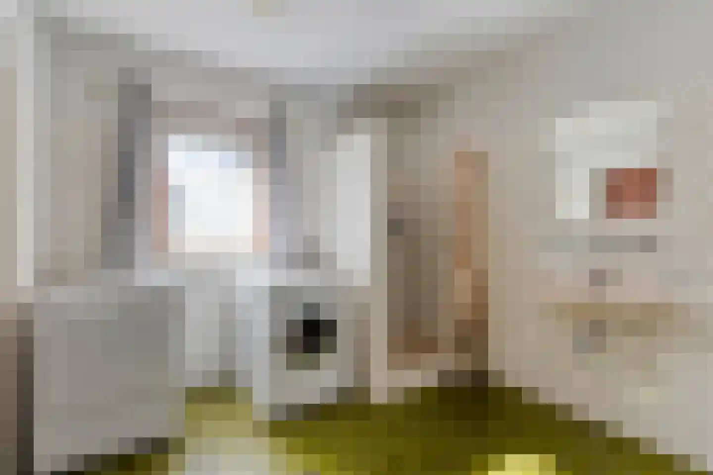 Laarstraat 11 Someren thumbnail 21