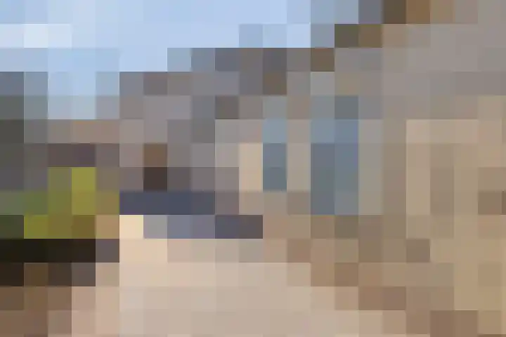 Laarstraat 11 Someren thumbnail 29
