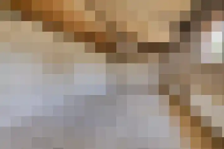 Laarstraat 11 Someren thumbnail 31