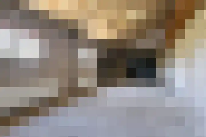 Laarstraat 11 Someren thumbnail 32