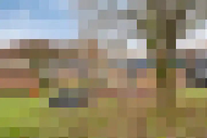 Laarstraat 11 Someren thumbnail 33