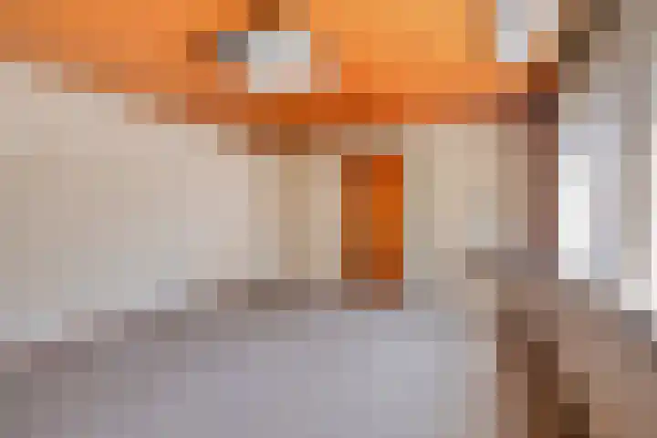 Laarstraat 11 Someren thumbnail 34