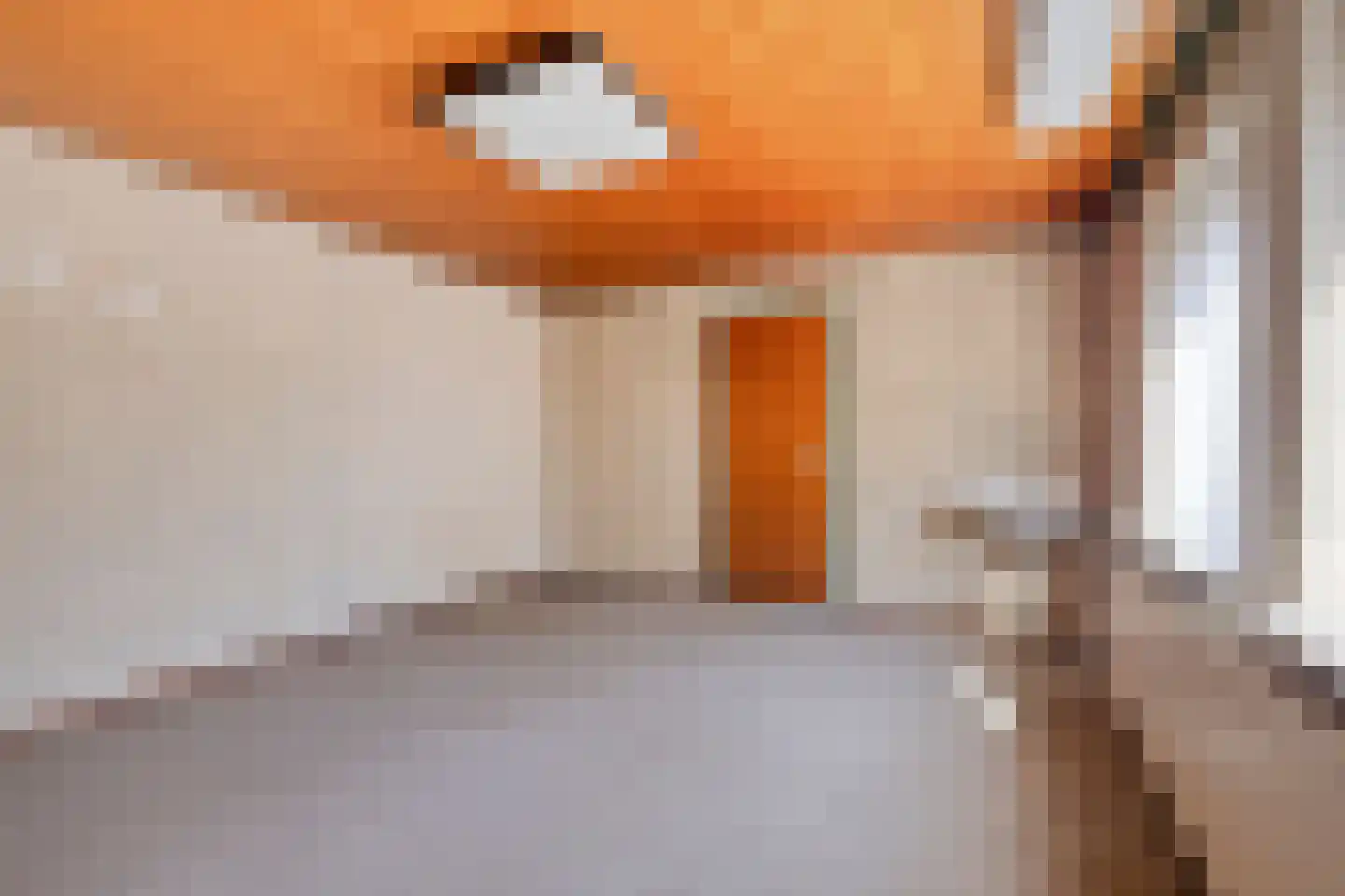 Laarstraat 11 Someren thumbnail 34