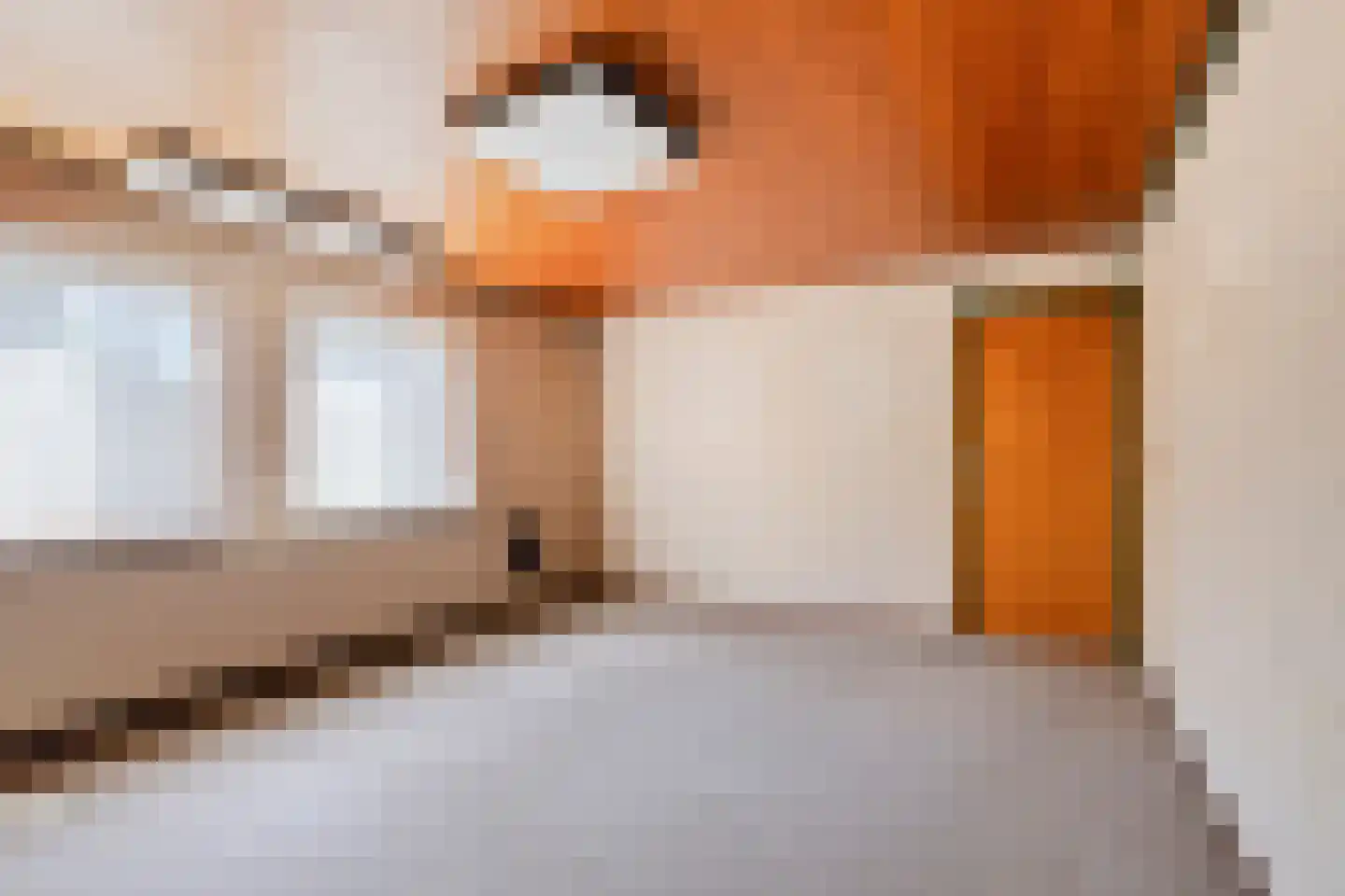 Laarstraat 11 Someren thumbnail 35