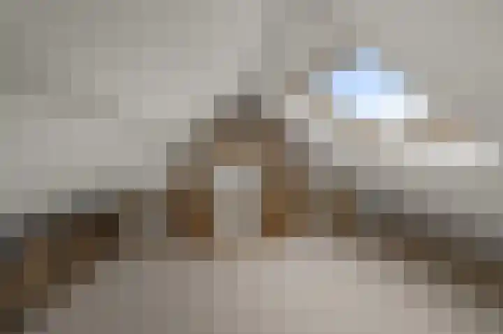 Laarstraat 11 Someren thumbnail 36