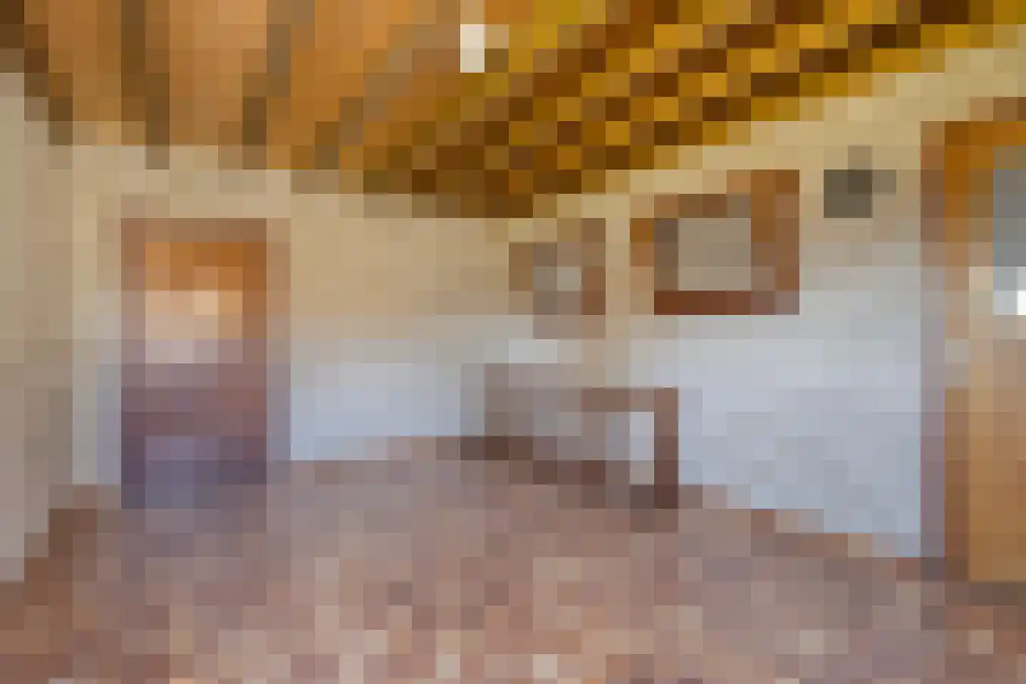 Laarstraat 11 Someren thumbnail 40
