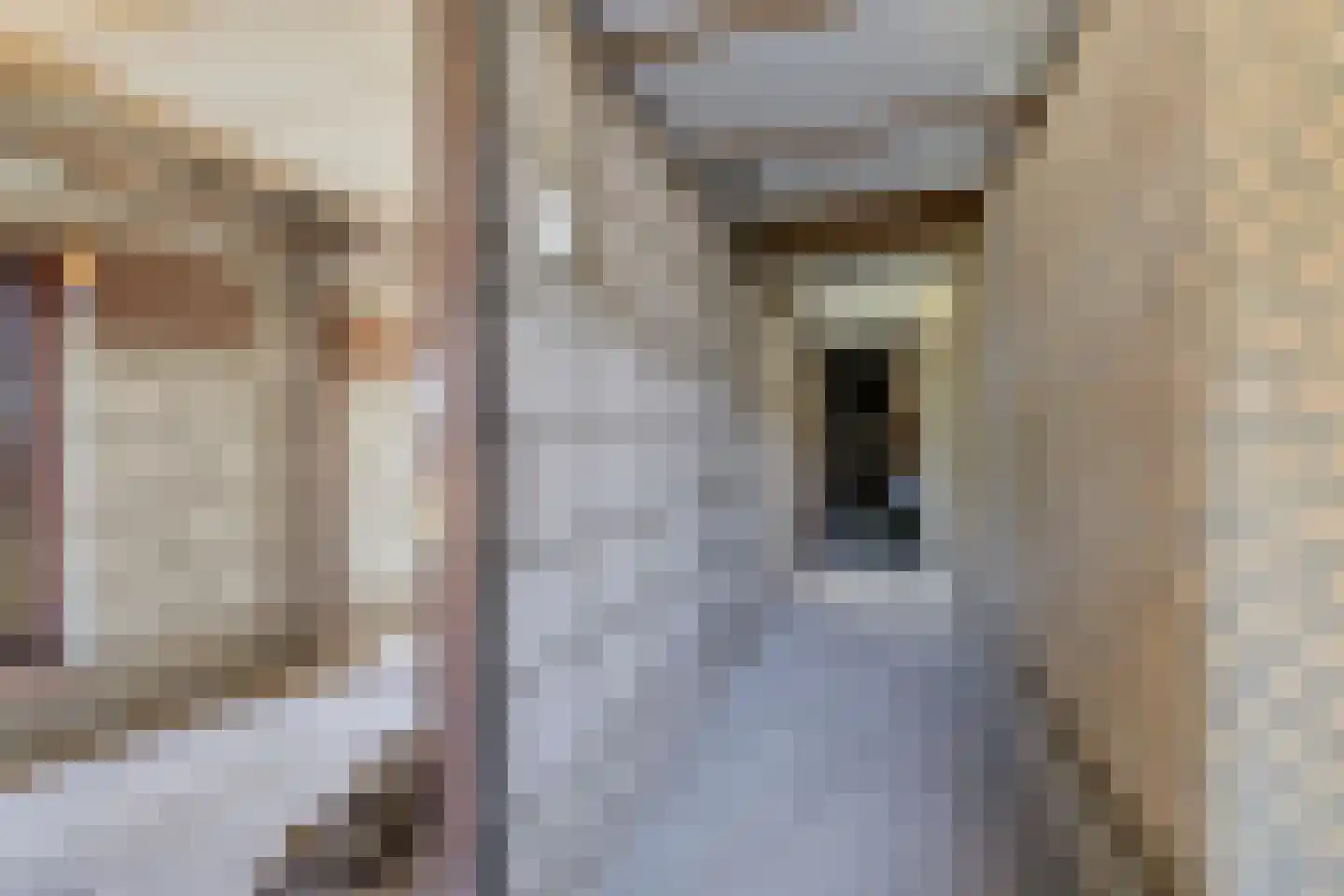 Laarstraat 11 Someren thumbnail 42