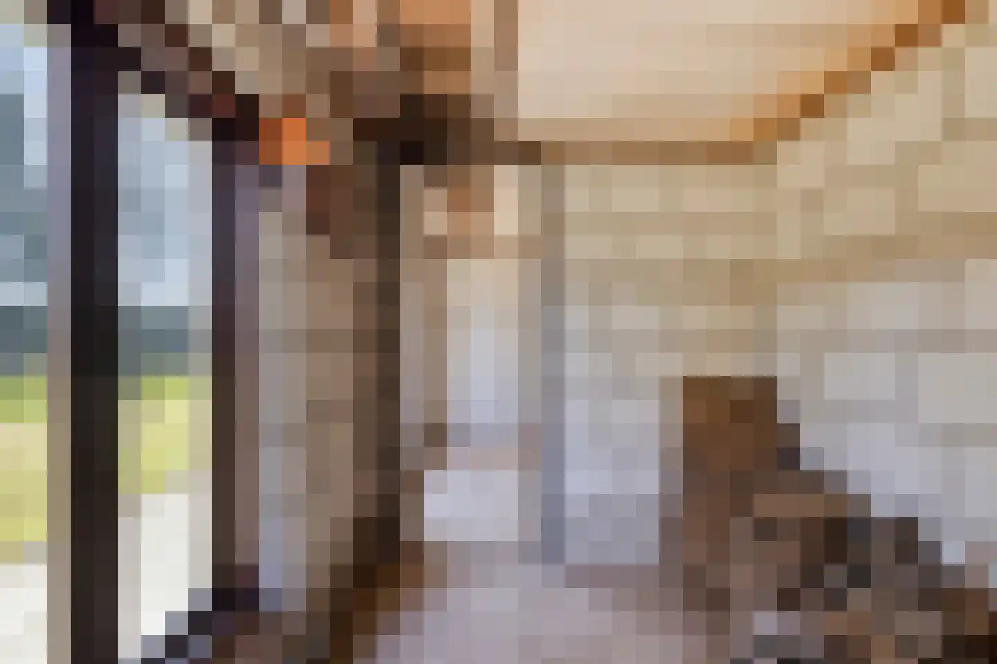 Laarstraat 11 Someren thumbnail 43