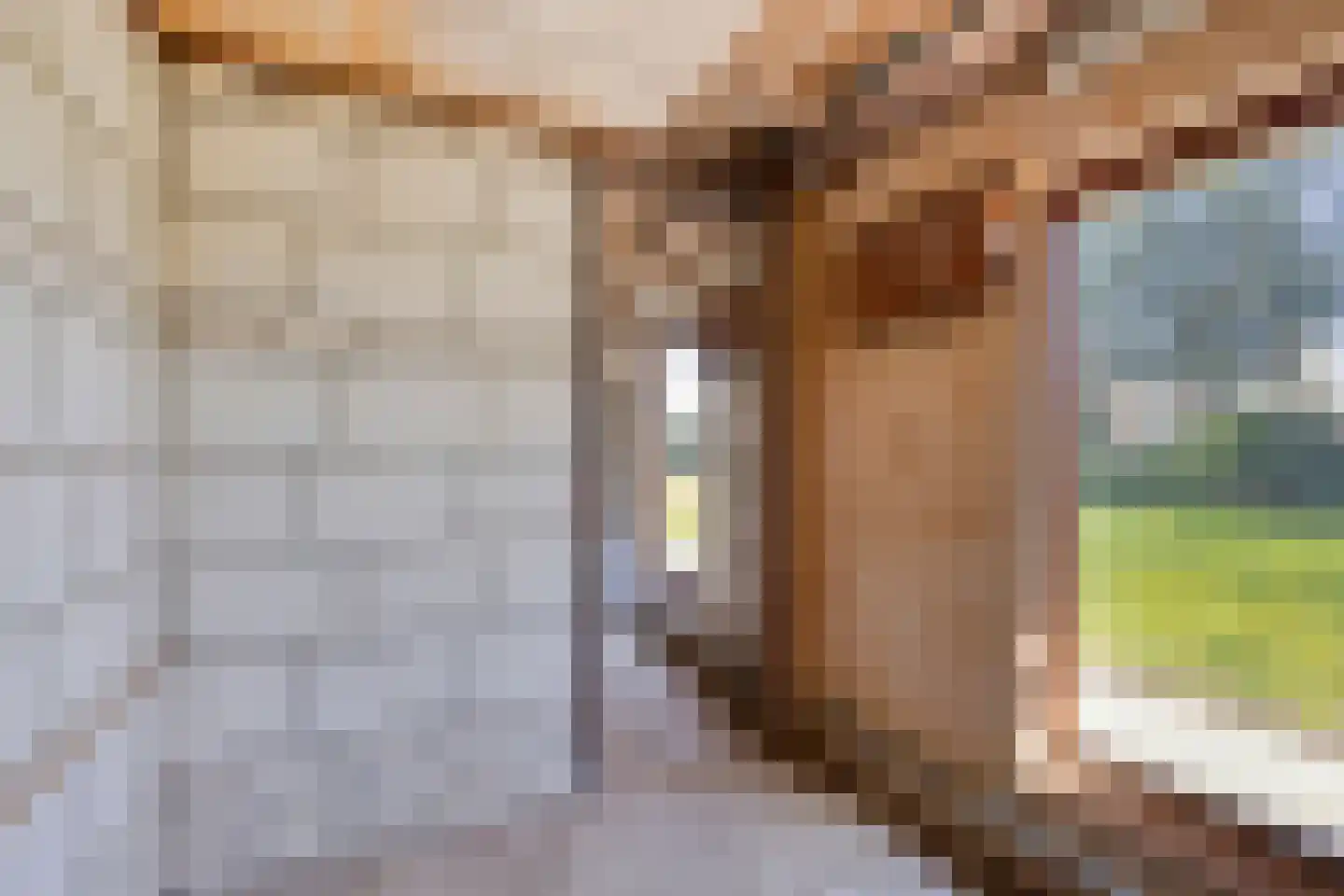 Laarstraat 11 Someren thumbnail 44
