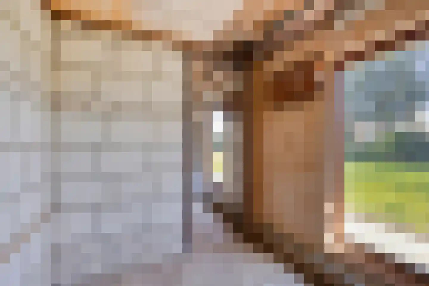 Laarstraat 11 Someren thumbnail 44