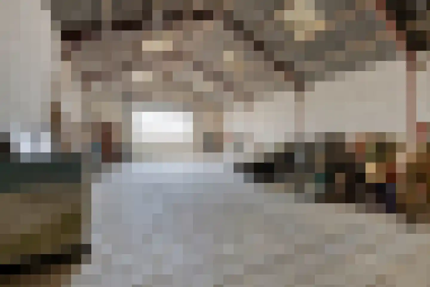 Laarstraat 11 Someren thumbnail 45