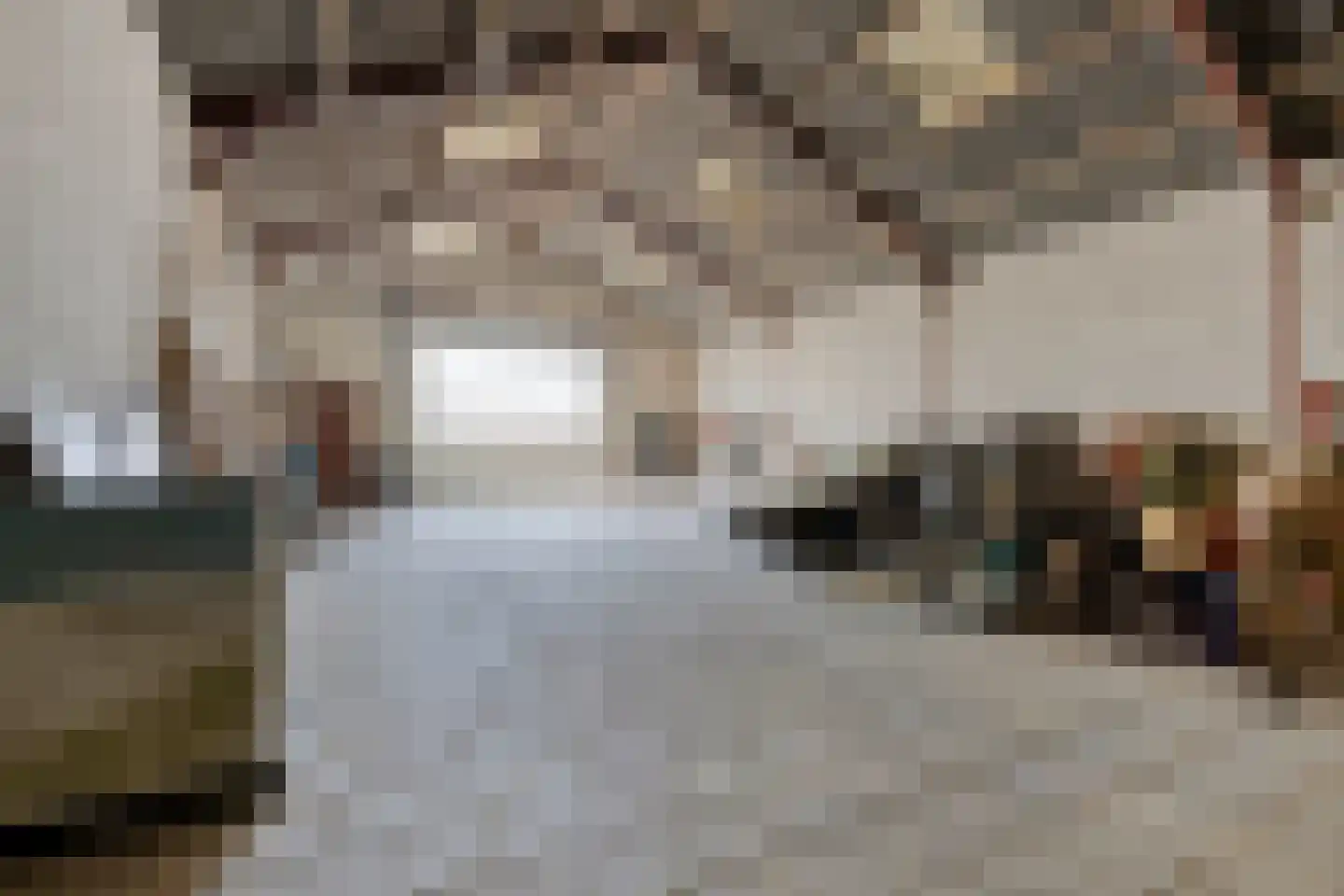Laarstraat 11 Someren thumbnail 45