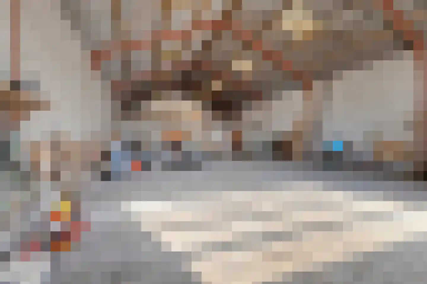 Laarstraat 11 Someren thumbnail 46