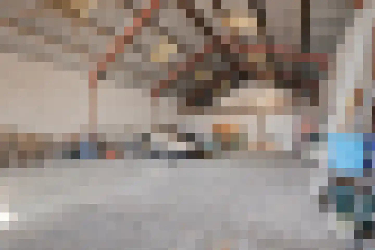 Laarstraat 11 Someren thumbnail 47
