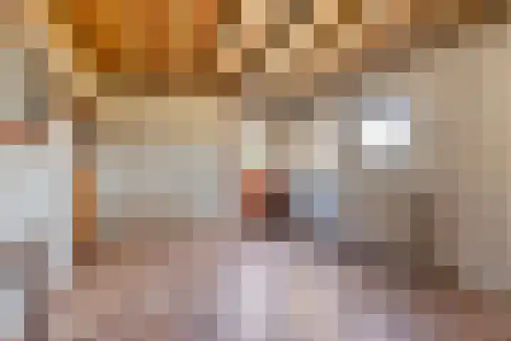 Laarstraat 11 Someren thumbnail 48