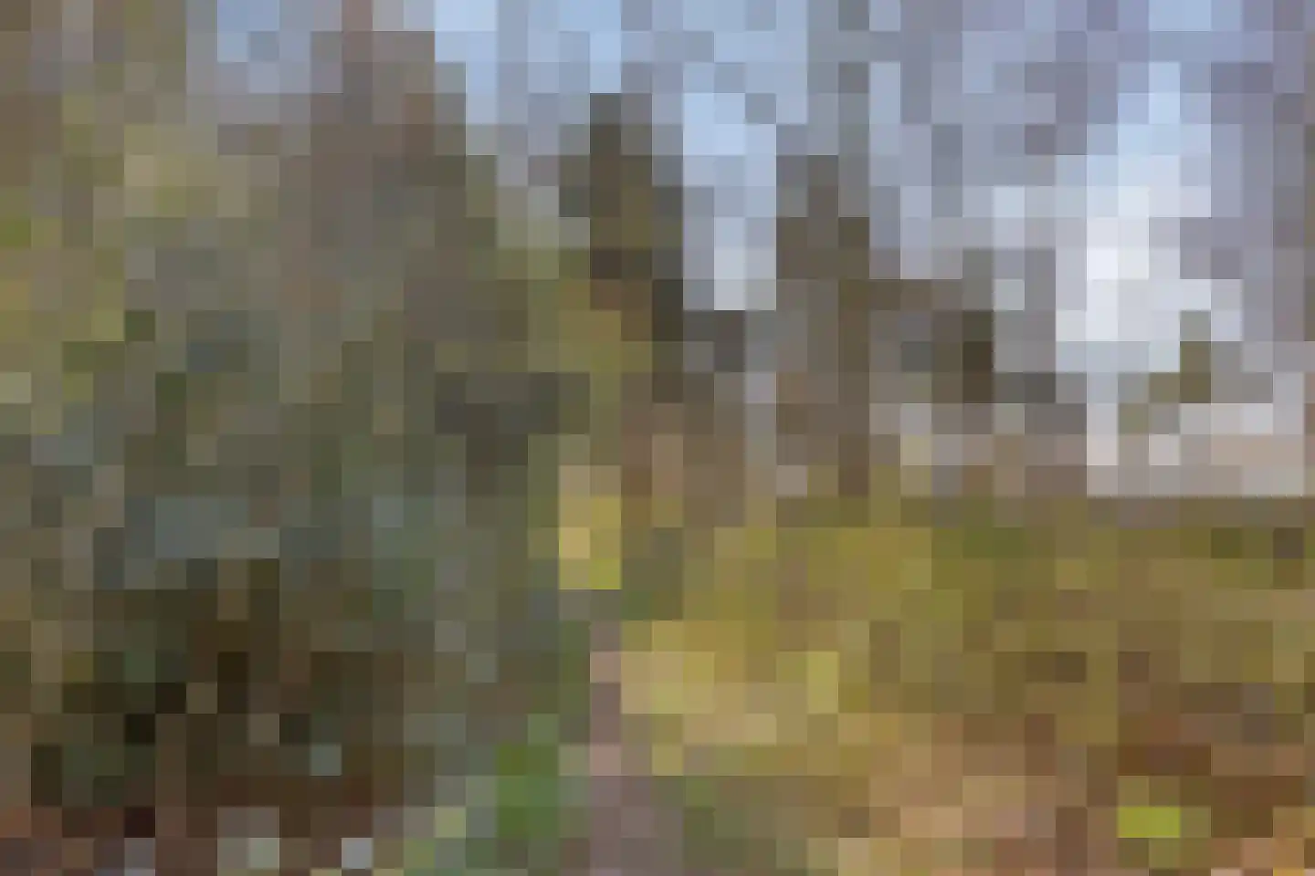 Laarstraat 11 Someren thumbnail 50