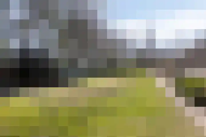 Laarstraat 11 Someren thumbnail 52