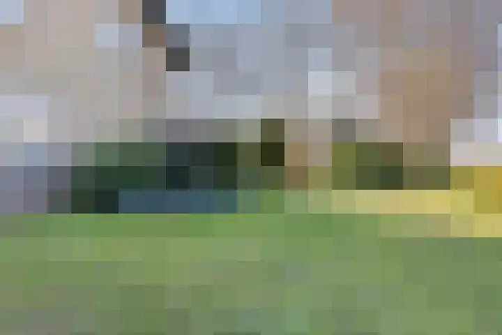 Laarstraat 11 Someren thumbnail 56