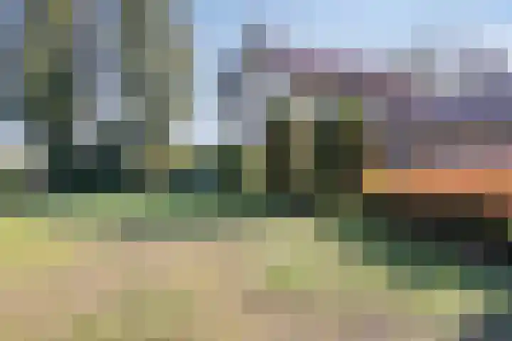 Laarstraat 11 Someren thumbnail 58