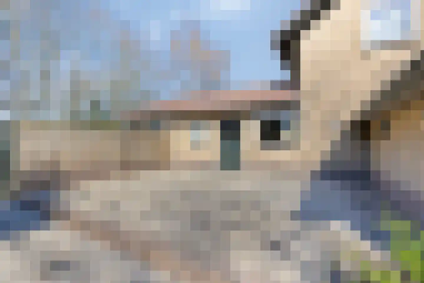 Laarstraat 11 Someren thumbnail 60