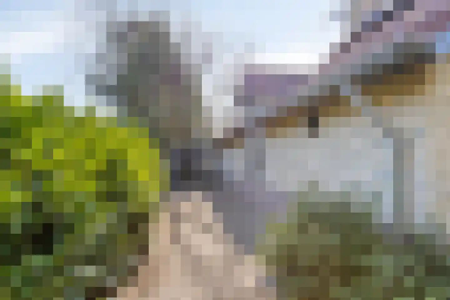 Laarstraat 11 Someren thumbnail 66