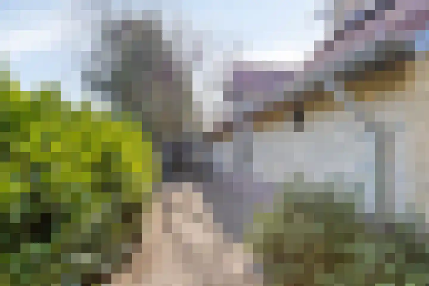 Laarstraat 11 Someren thumbnail 66