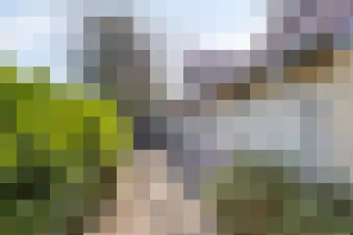 Laarstraat 11 Someren thumbnail 66