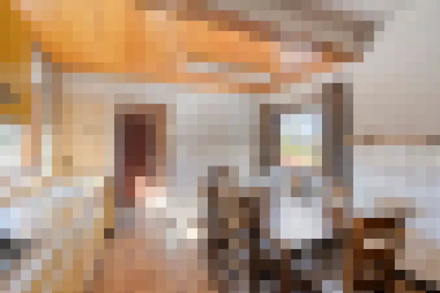 Laarstraat 11 Someren thumbnail 7