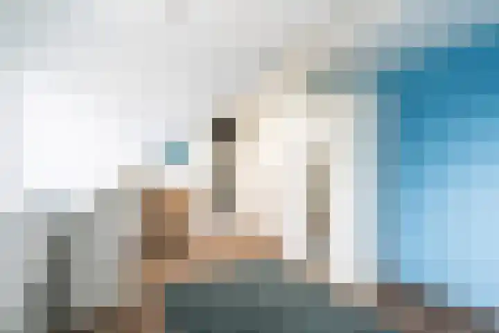 Laarstraat 11 Someren thumbnail 8