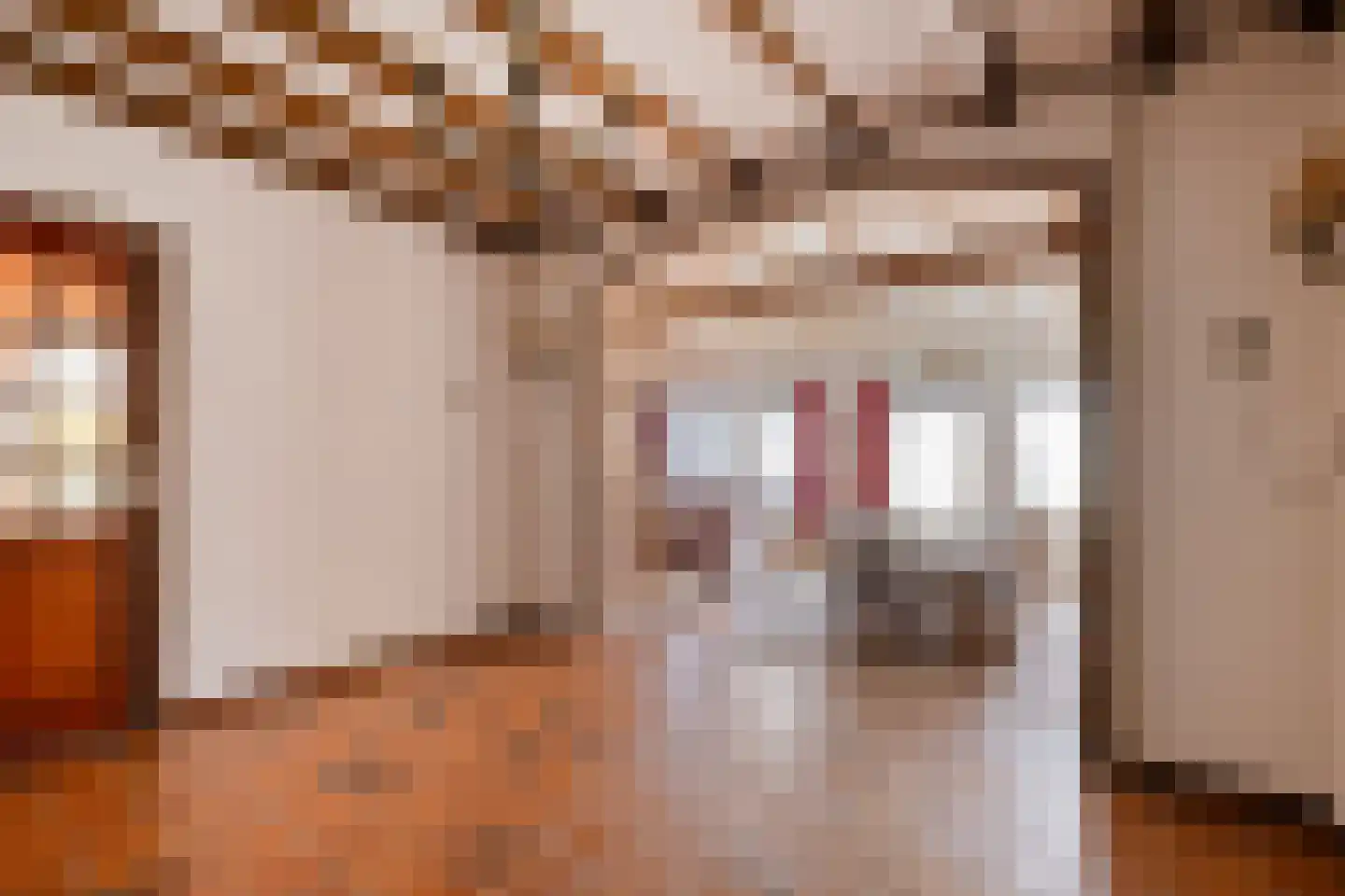 Laarstraat 11 Someren thumbnail 8
