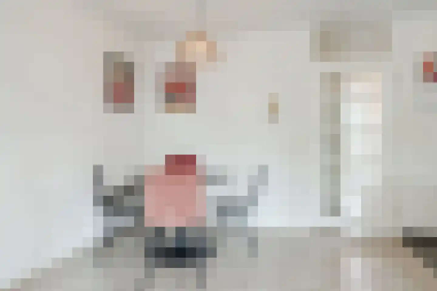 Laarstraat 15 A Geldrop thumbnail 17