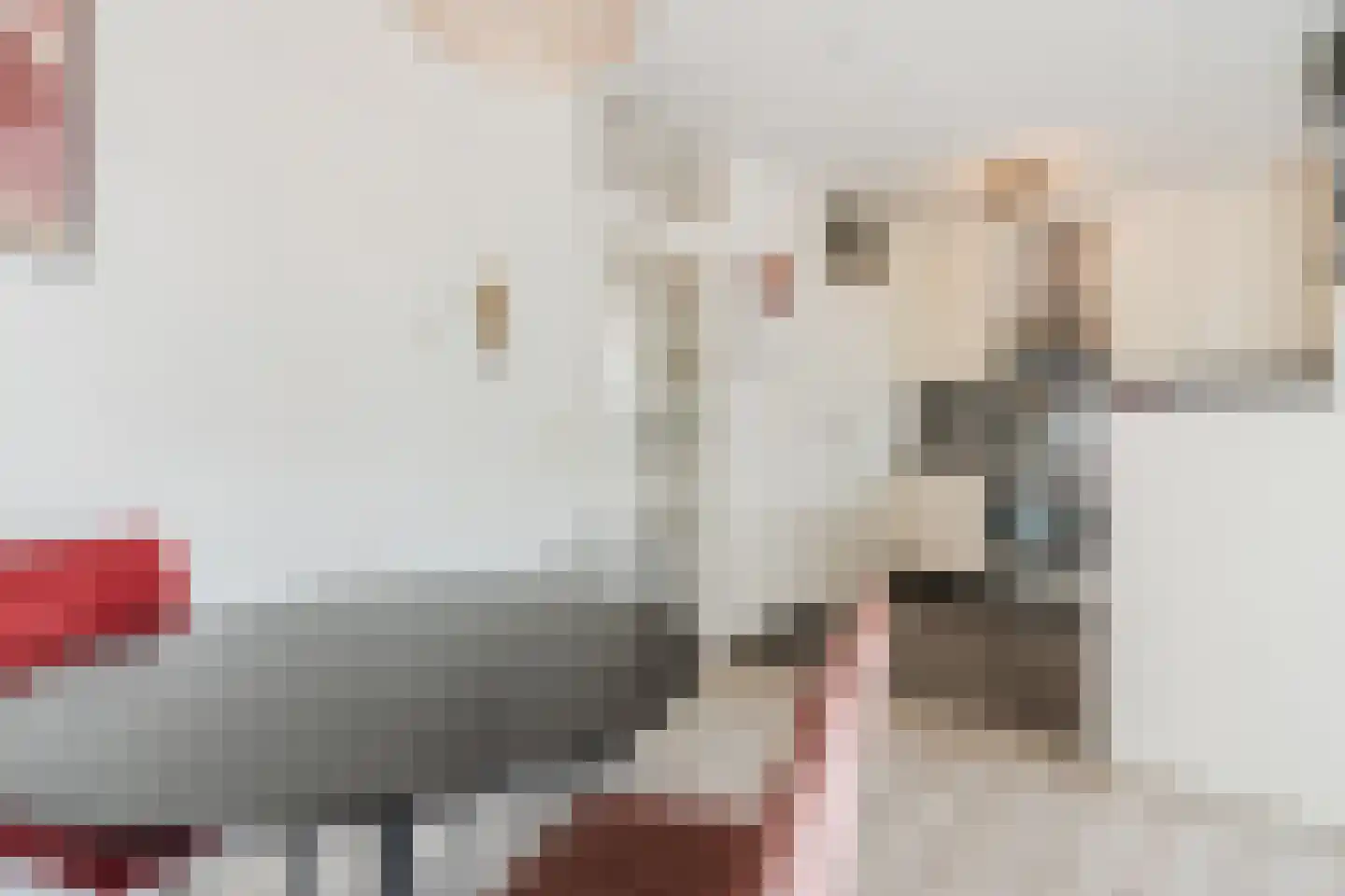 Laarstraat 15 A Geldrop thumbnail 18