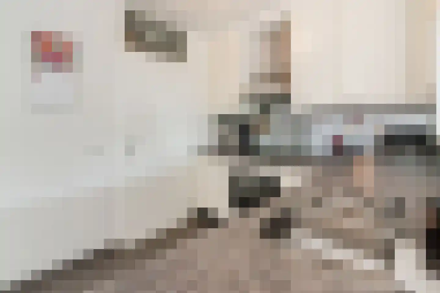 Laarstraat 15 A Geldrop thumbnail 22