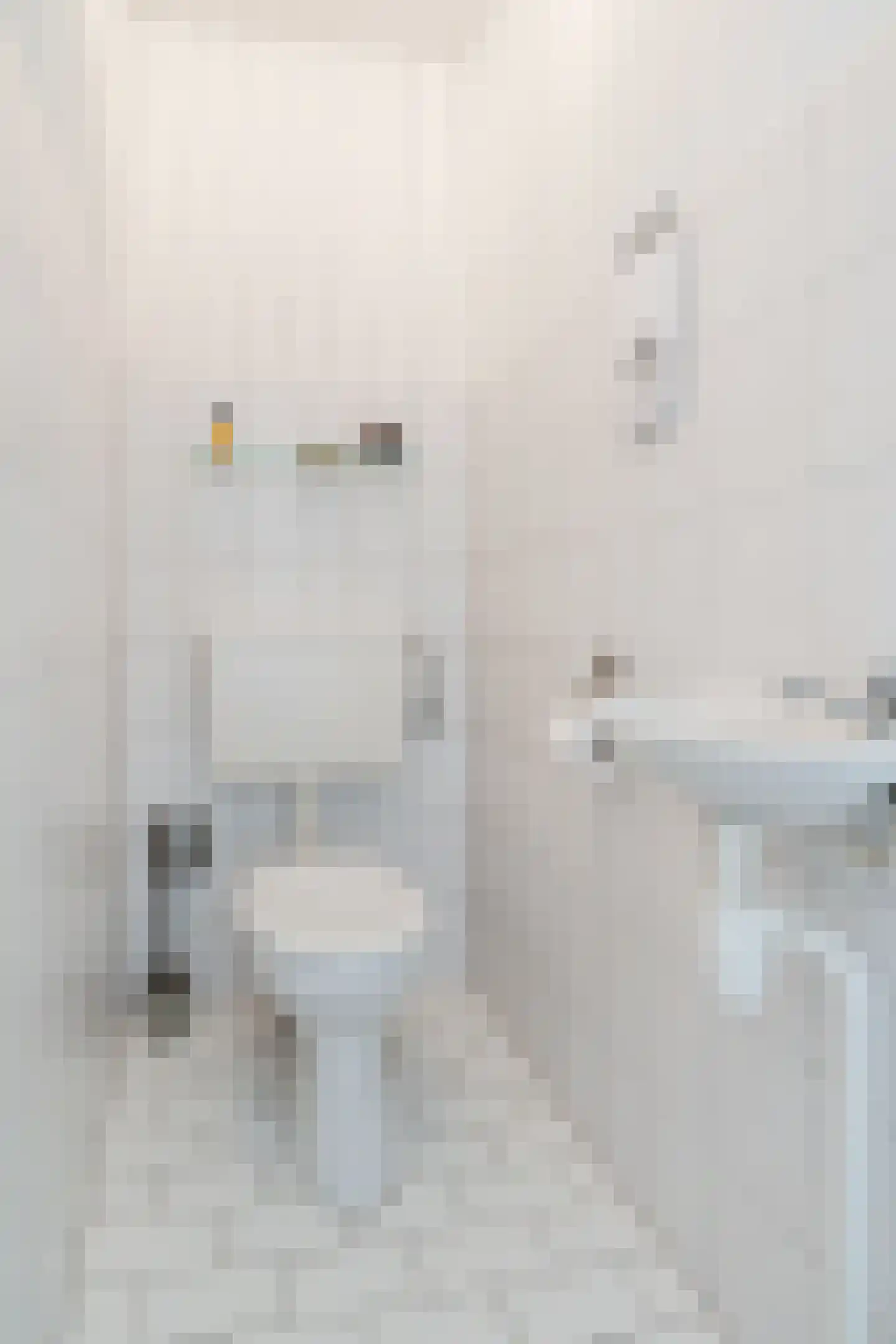 Laarstraat 15 A Geldrop thumbnail 24