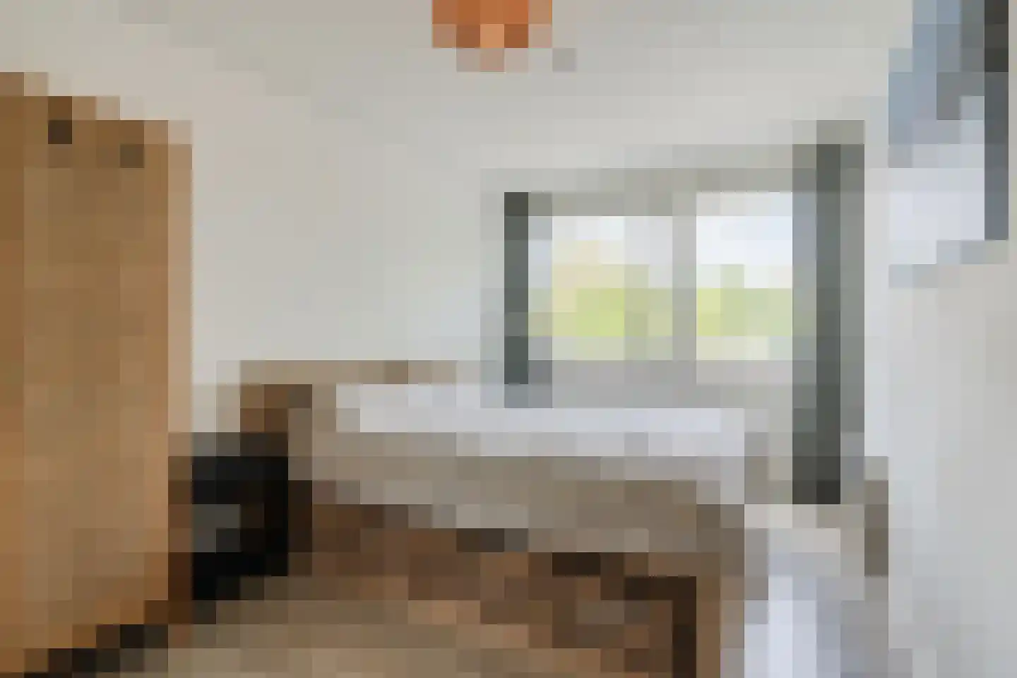 Laarstraat 15 A Geldrop thumbnail 25
