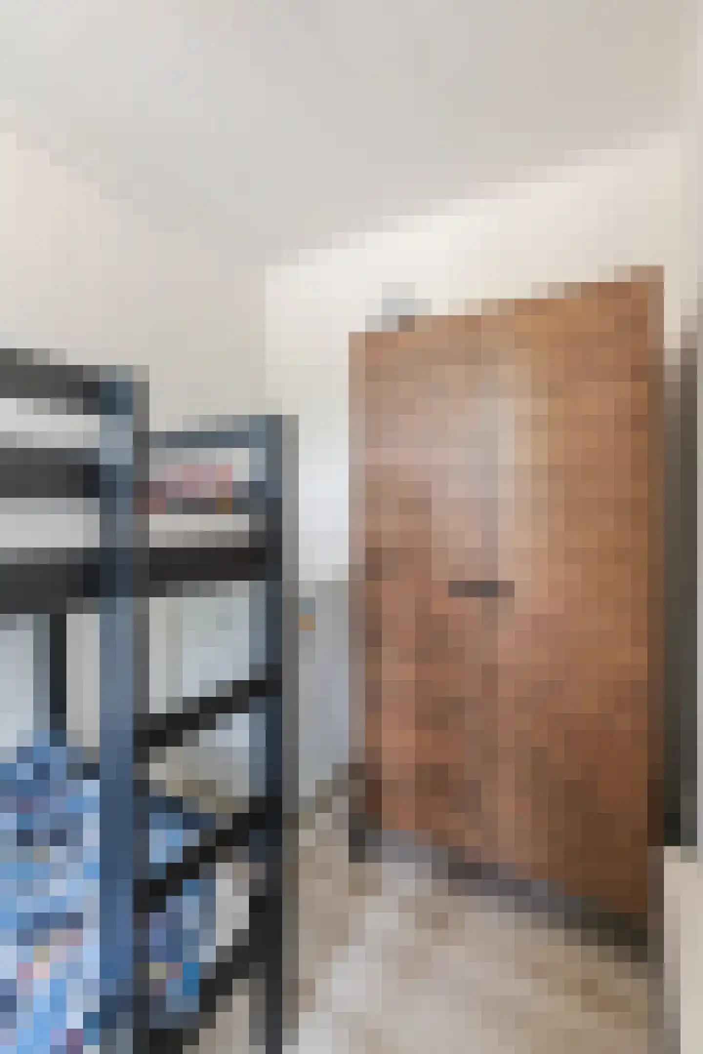 Laarstraat 15 A Geldrop thumbnail 28