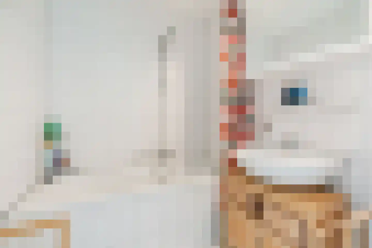 Laarstraat 15 A Geldrop thumbnail 30