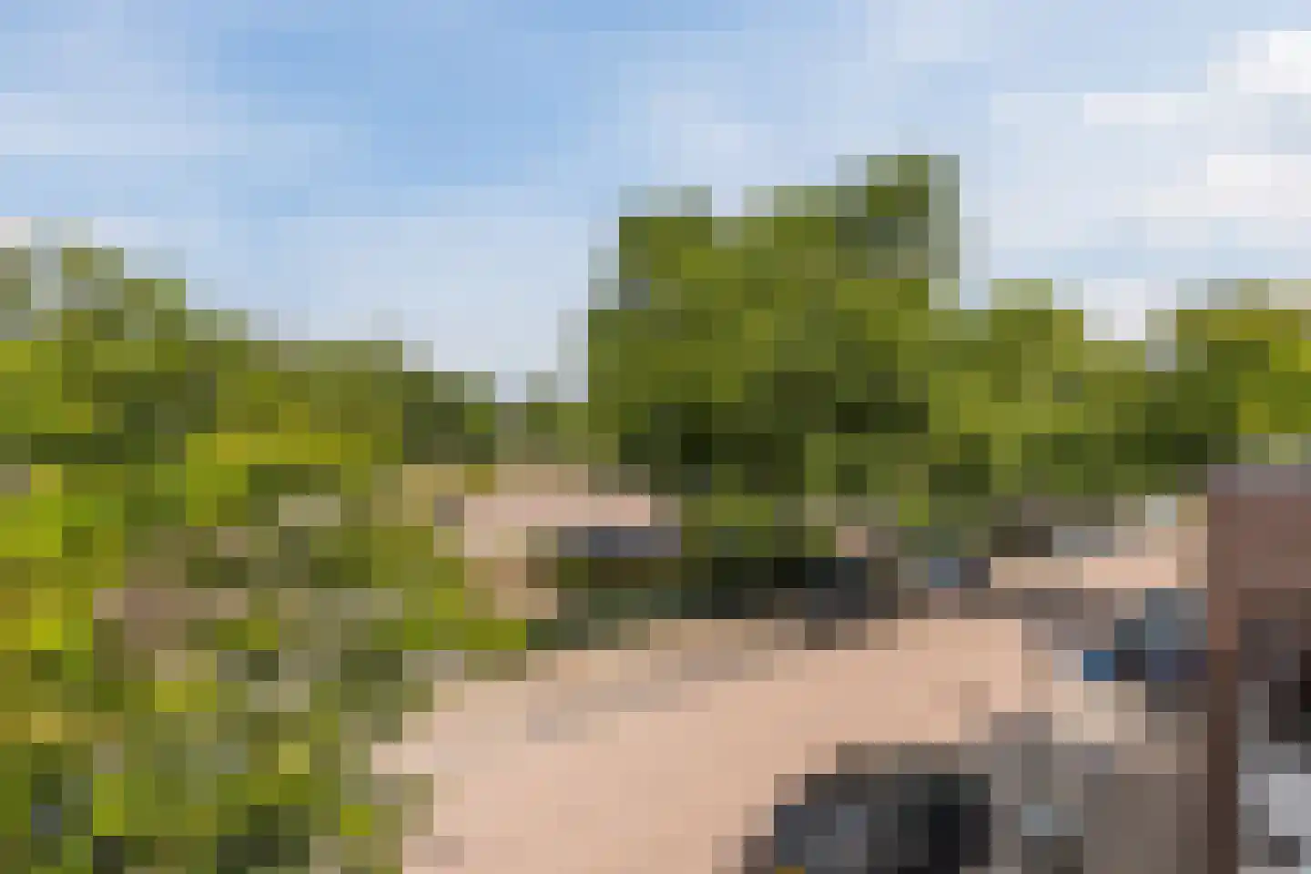 Laarstraat 15 A Geldrop thumbnail 35