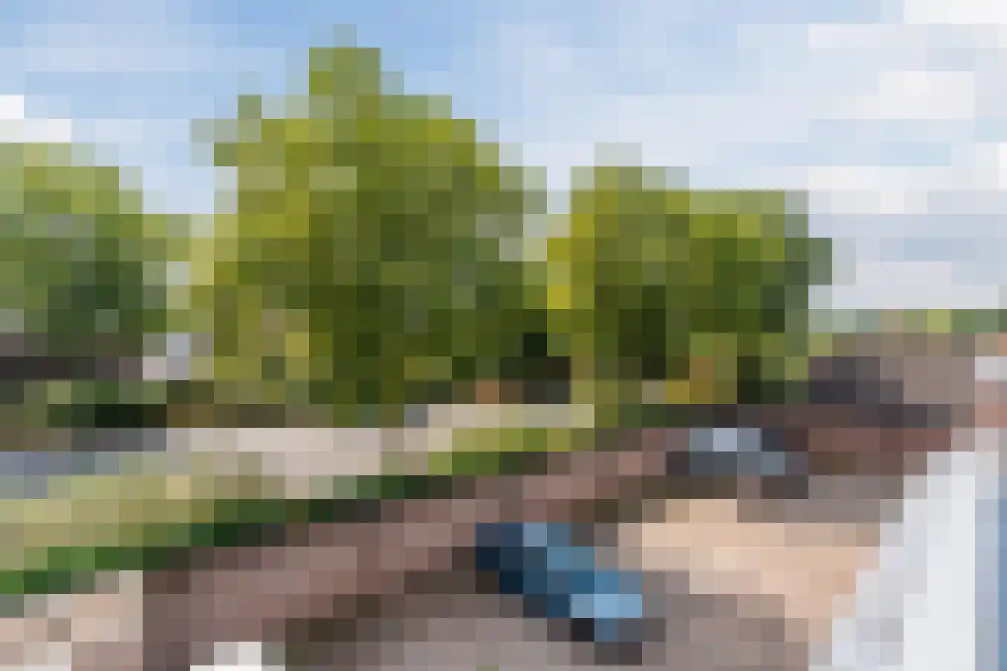 Laarstraat 15 A Geldrop thumbnail 37