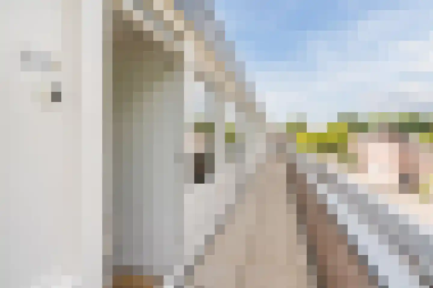 Laarstraat 15 A Geldrop thumbnail 7